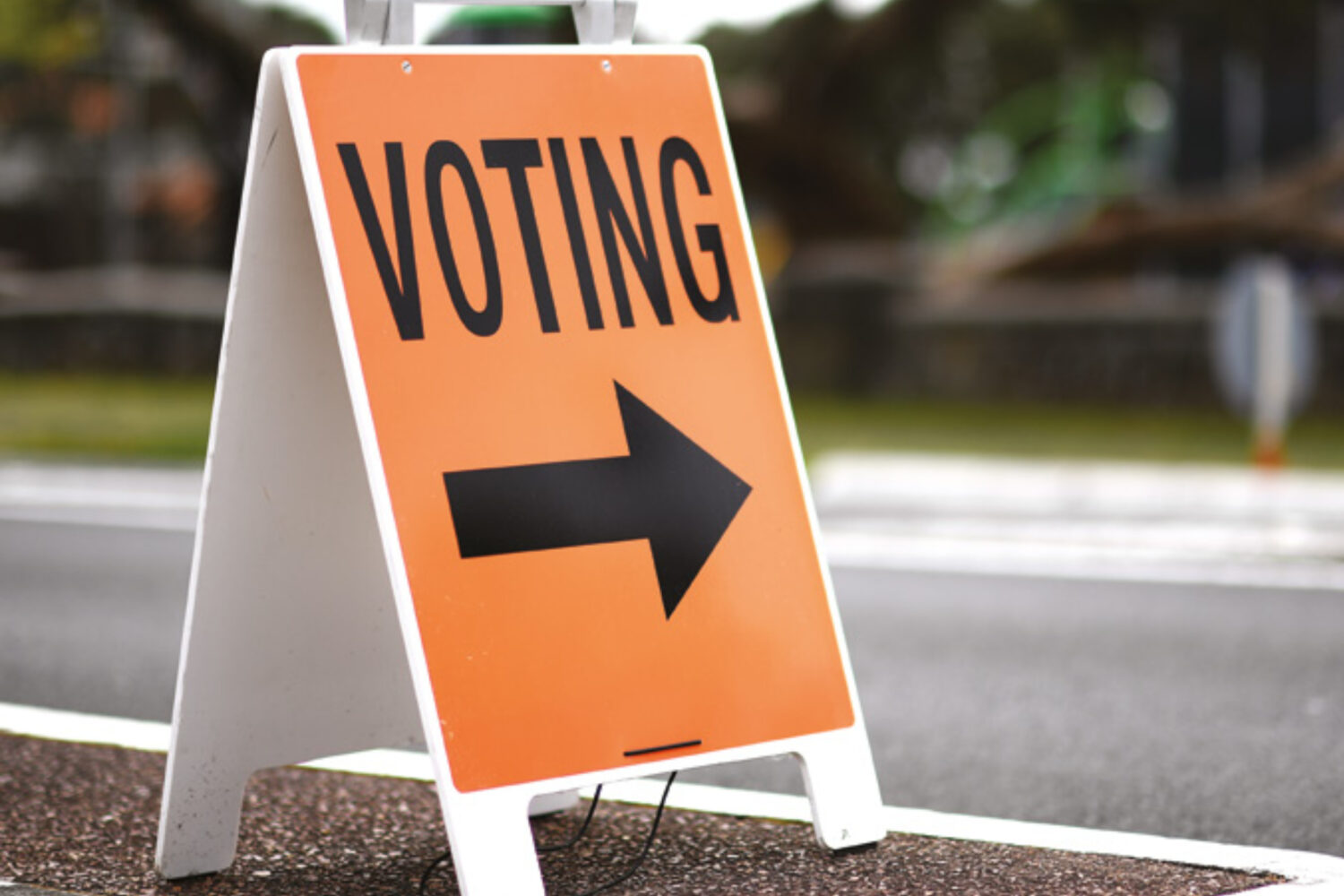 Unlocking Democracy: Prisoners' Right to Vote in New Zealand - Maxim ...